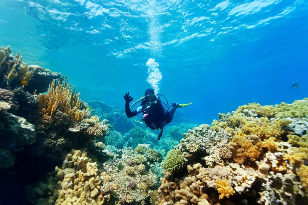 diving Nha Trang Vietnam