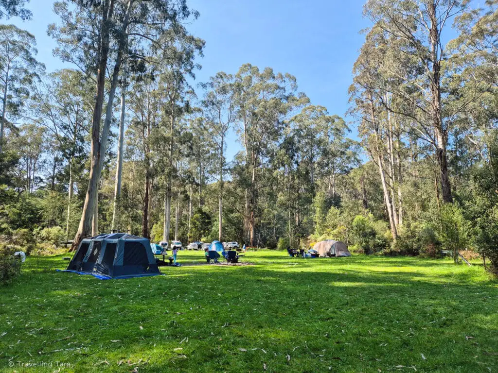 A picture of the grassy camping area at Mortimer Camping and Picnic Area