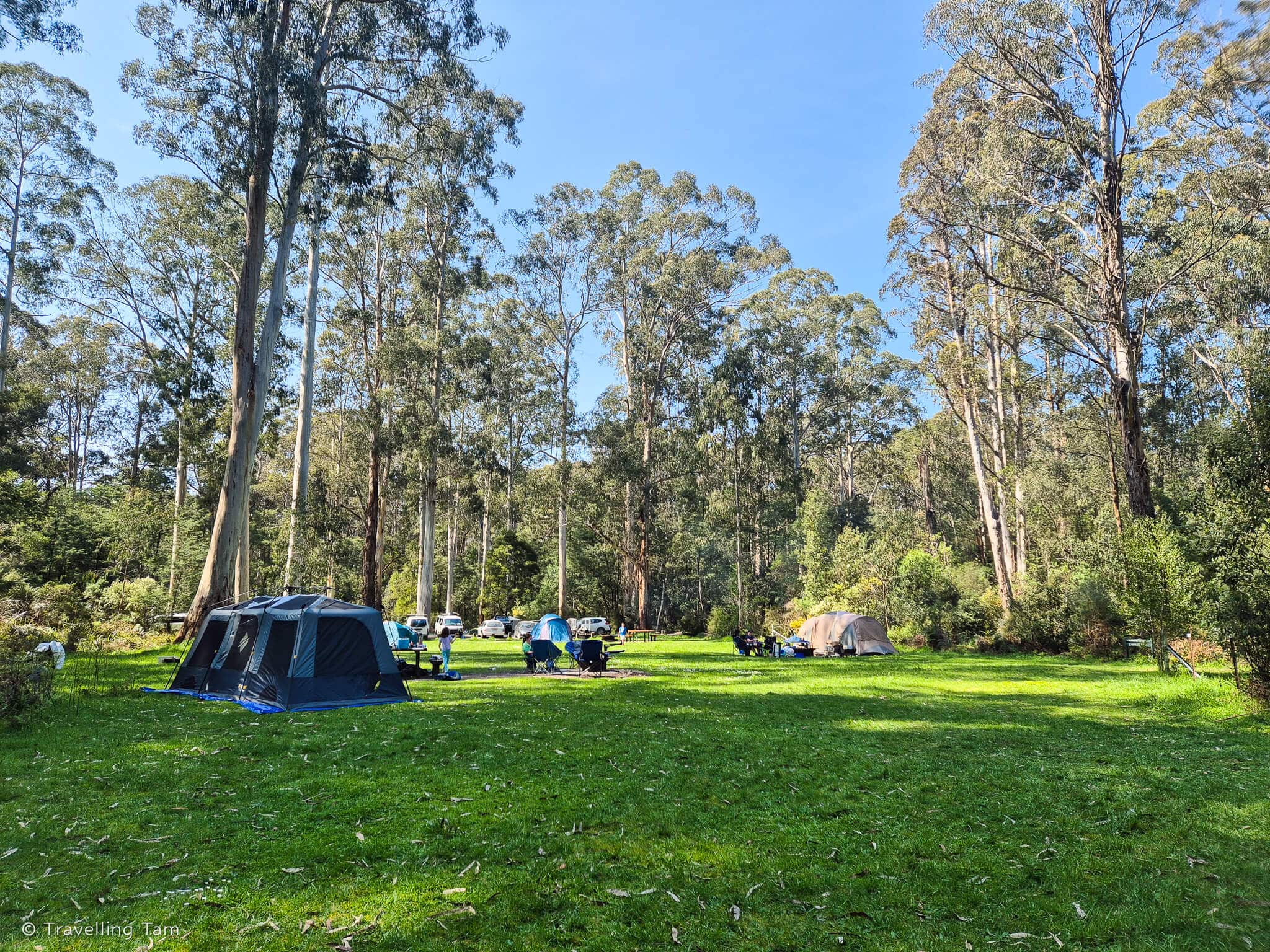 A Review of Mortimer Camping & Picnic Area