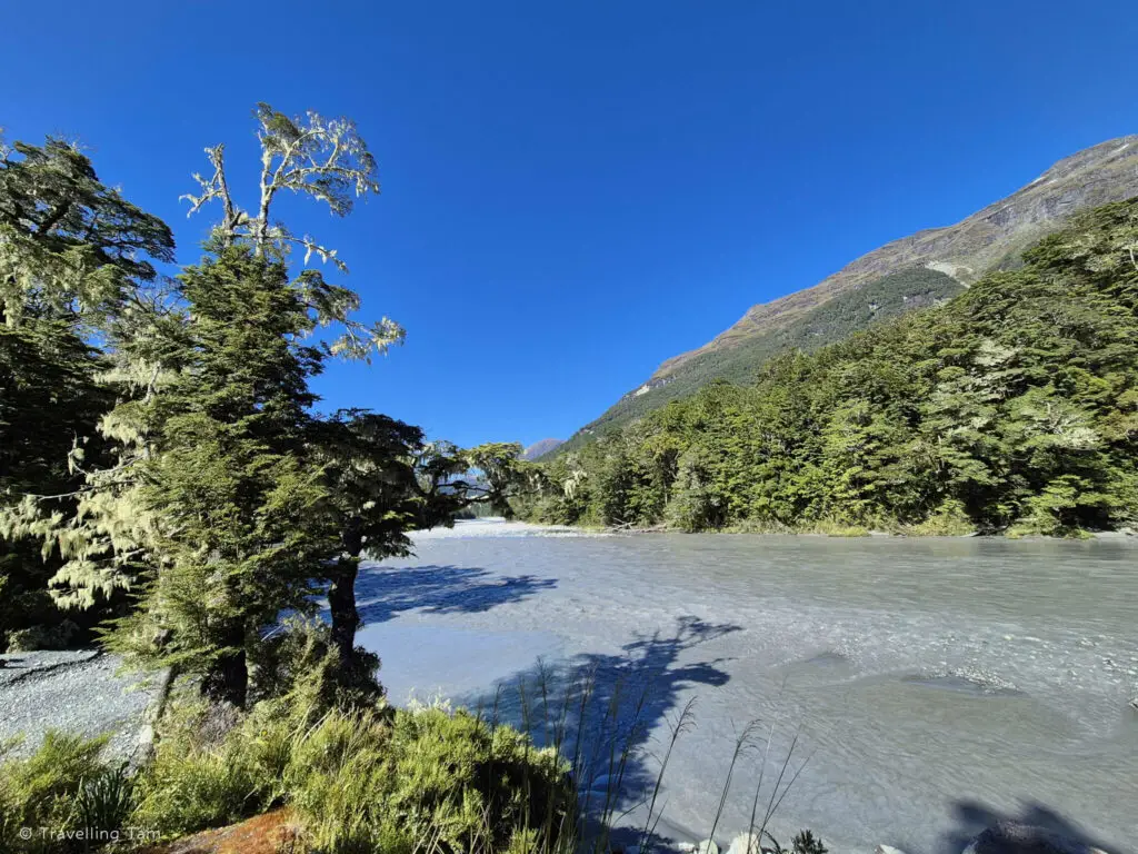 The Dart River in the Mount Aspiring National Park